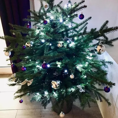 Lawendowe * Dziwnówek