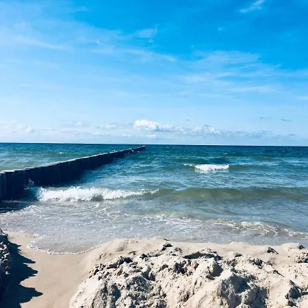 Lawendowe * ジブヌベク