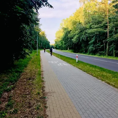 Dom wakacyjny Lawendowe Dziwnówek