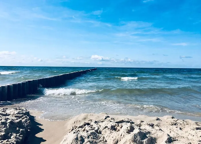 Lawendowe * Dziwnówek